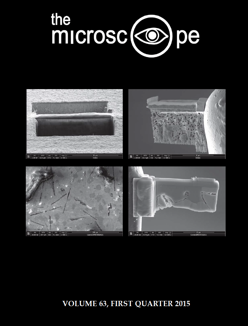 The Microscope Volume 63 First Quarter 2015 | McCrone Research ...